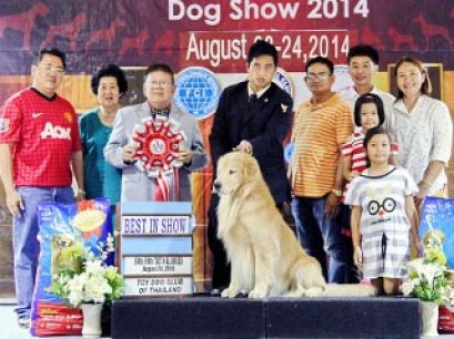 Toy Dog Club Championship Dog Show 2014_AB3