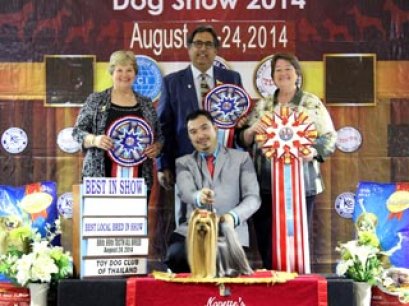 Toy Dog Club Championship Dog Show 2014_AB4