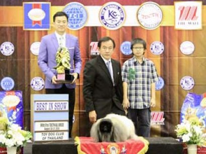 The Mall Toy Dog Championship Dog Show 5/2014_AB1