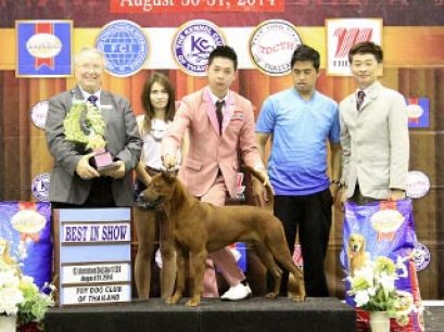 The Mall Toy Dog Championship Dog Show 5/2014_AB4