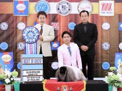 The Mall Toy Dog Championship Dog Show 6/2014_AB1