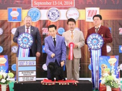 The Mall Toy Dog Championship Dog Show 6/2014_AB3