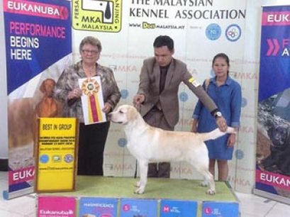 MKA INTERNATIONAL DOG SHOW 2014
