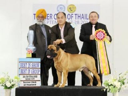 Terrier Club Championship Dog Show 2014_AB3