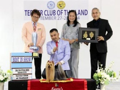 Terrier Club Championship Dog Show 2014_AB4