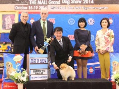 The Mall Grand Dog Show 2014_AB2