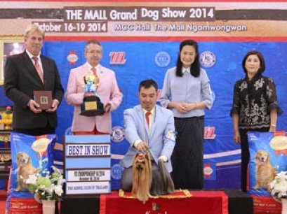 The Mall Grand Dog Show 2014_AB5