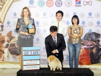 TAWANNA NGAMWONGWAN NATIONAL DOG SHOW 2014_AB1