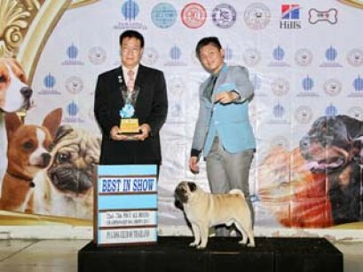 TAWANNA NGAMWONGWAN NATIONAL DOG SHOW 2014_AB2