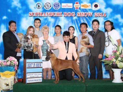 Suphanburi  Dog Show 2014_AB1