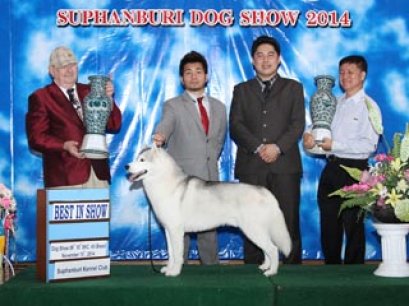Suphanburi  Dog Show 2014_AB2
