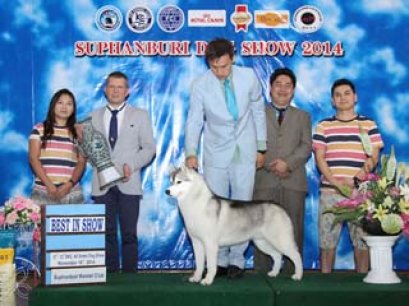 Suphanburi  Dog Show 2014_AB3