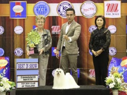 The Mall Toy Dog Championship Dog Show 5/2014_AB2