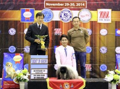 The Mall Toy Dog Championship Dog Show 7/2014_AB1