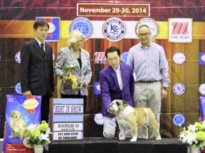 The Mall Toy Dog Championship Dog Show 7/2014_AB2