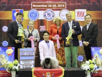 The Mall Toy Dog Championship Dog Show 7/2014_AB3