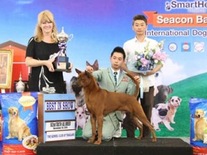 Seacon Bangkae International Dog Show 2014_AB3