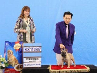 Best Baby Of The Year 2014