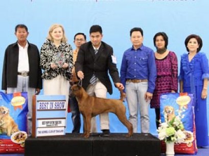 Best Puppy Of The Year 2014