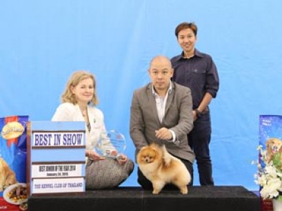 Best Junior Of The Year 2014