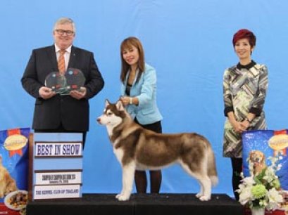 Champions of The Year 2014