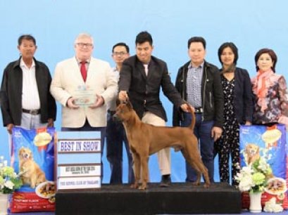 Best Local Bred Of The Year 2014