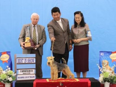 Champion Of Champions Dog Show 2015_AB1