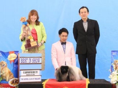 Champion Of Champions Dog Show 2015_AB2