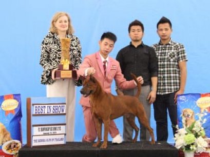 Champion Of Champions Dog Show 2015_AB3
