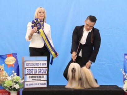 TH.CH.CHIC CHOIX SPLENDID SENSATION