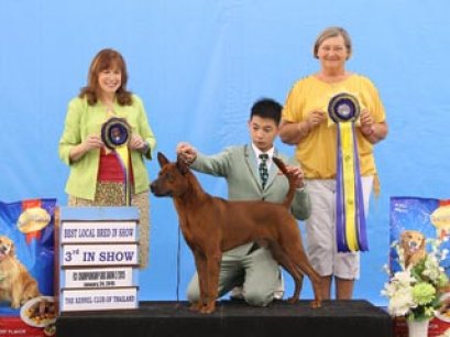 WW.FIN.TH.CH.SIAM GRAND MUNG-MEE BY D-D-P