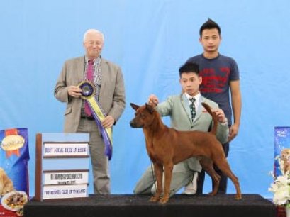 WW.FIN.TH.CH.SIAM GRAND MUNG-MEE BY D-D-P