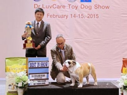 Central Toy Dog Championship Dog Show 1/2015_AB1