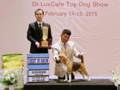 Central Toy Dog Championship Dog Show 1/2015_AB3