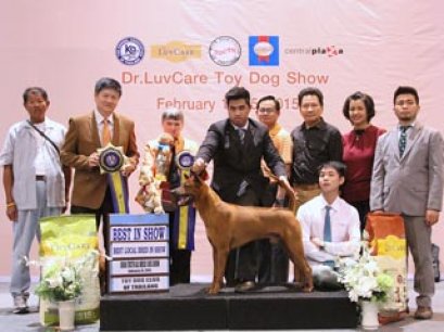 Central Toy Dog Championship Dog Show 1/2015_AB4