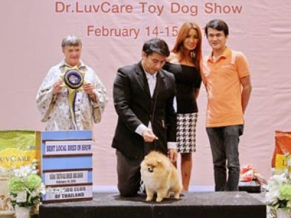 TH.CH.POMSADMIRER'S PRECIOUS STONE