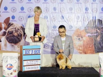 TAWANNA NGAMWONGWAN NATIONAL DOG SHOW 2015_AB1