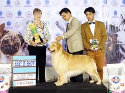 TAWANNA NGAMWONGWAN NATIONAL DOG SHOW 2015_AB4