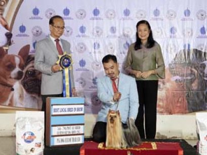 INT.TH.GR.MAL.GR.PHIL.GR.IND.CH.NANETTE'S OCTOBER SAND DUNE