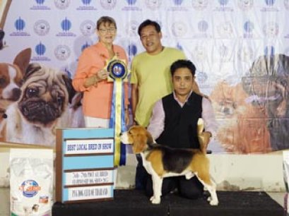 X'PLORERS STRIDE TO LOVE