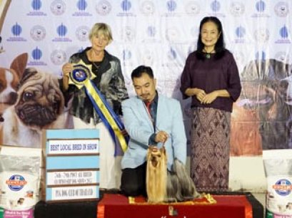 INT.TH.GR.MAL.GR.PHIL.GR.IND.CH.NANETTE'S OCTOBER SAND DUNE