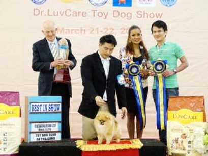 Toy Dog Show Championship Dog Show 2/2015_AB2