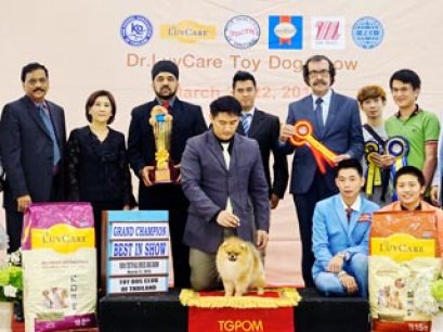 Toy Dog Show Championship Dog Show 2/2015_AB3