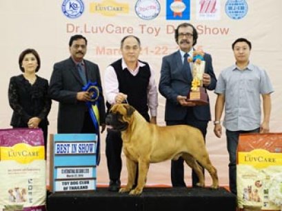 Toy Dog Show Championship Dog Show 2/2015_AB4
