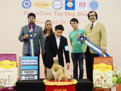 TH.CH.POMSADMIRER'S PRECIOUS STONE