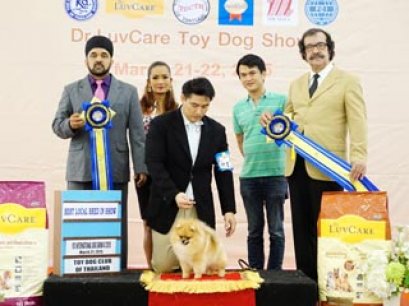 TH.CH.POMSADMIRER'S PRECIOUS STONE