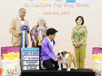 Toy Dog Championship Dog Show 3/2015_AB2