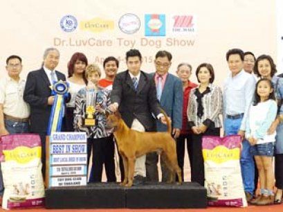 Toy Dog Championship Dog Show 3/2015_AB3