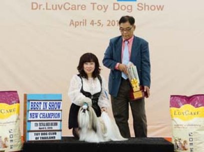 Toy Dog Championship Dog Show 3/2015_AB4