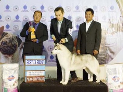 TAWANNA NGAMWONGWAN NATIONAL DOG SHOW 2/2015_AB2